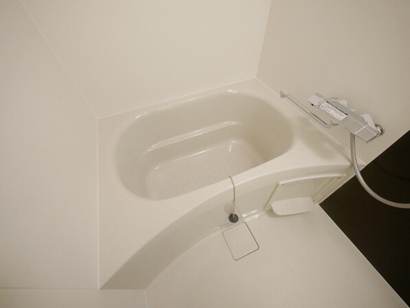 ラフィスタ鷺沼 南棟の物件内観写真